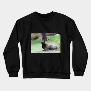 Resting in the Rain Crewneck Sweatshirt